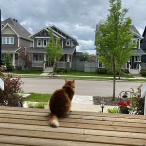 Meet your Posher, Yuyu